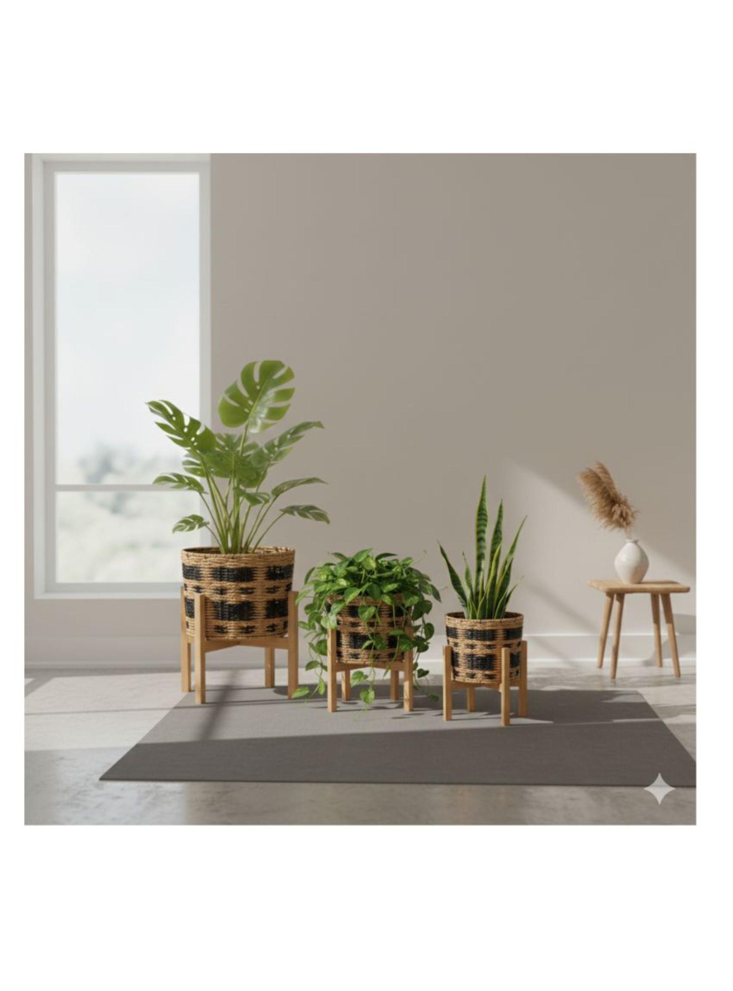 Set de 3 Maceteros Premium con Bases de Madera-2