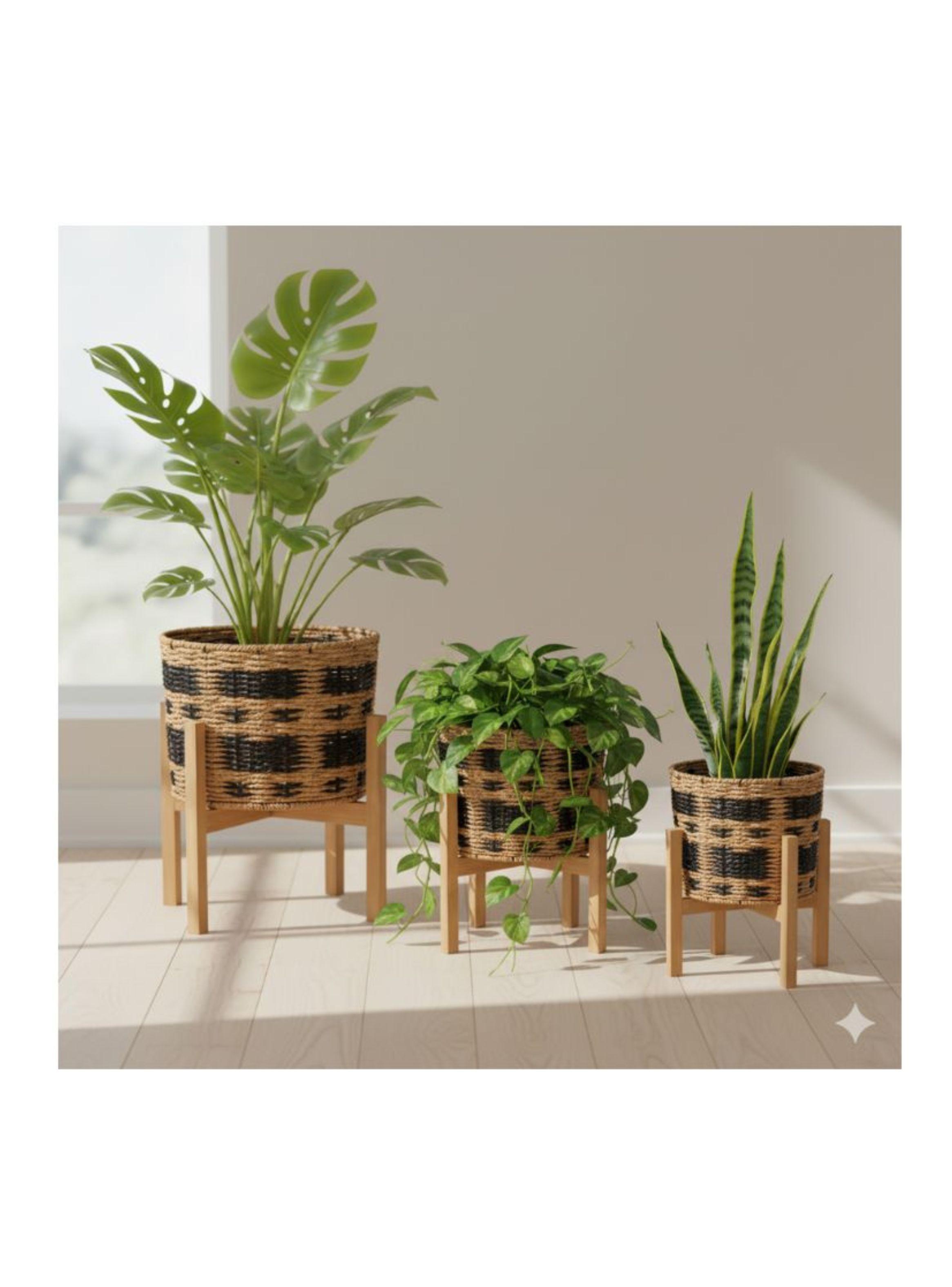 Set de 3 Maceteros Premium con Bases de Madera-3