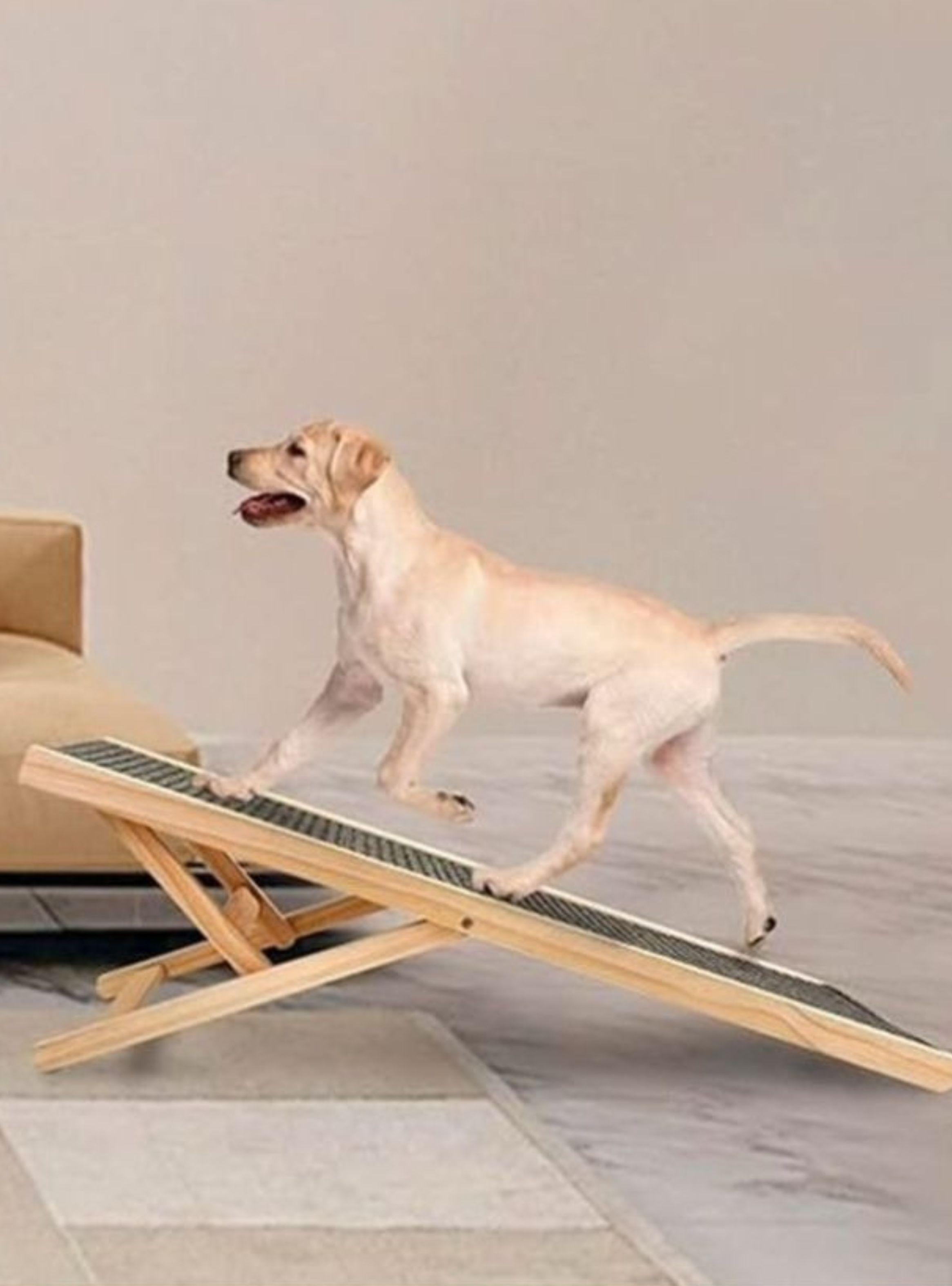 Rampa Para Perros Plegable 4 Altura Ajustable 30/40cm Alfombra Antideslizante -3