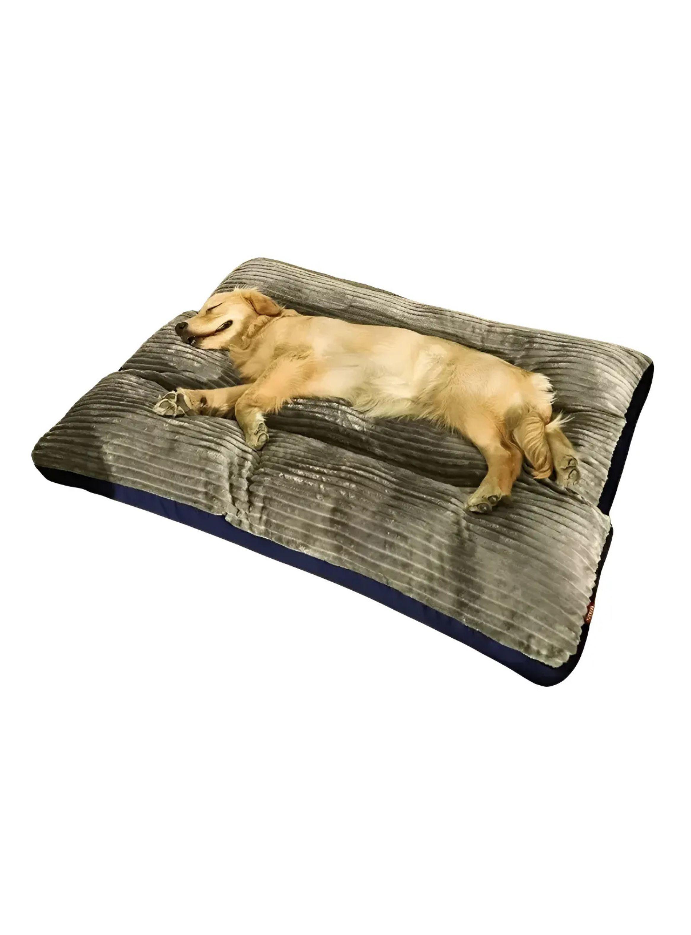 Cama Ortopédica Premium Para Mascotas 90x115cm -1