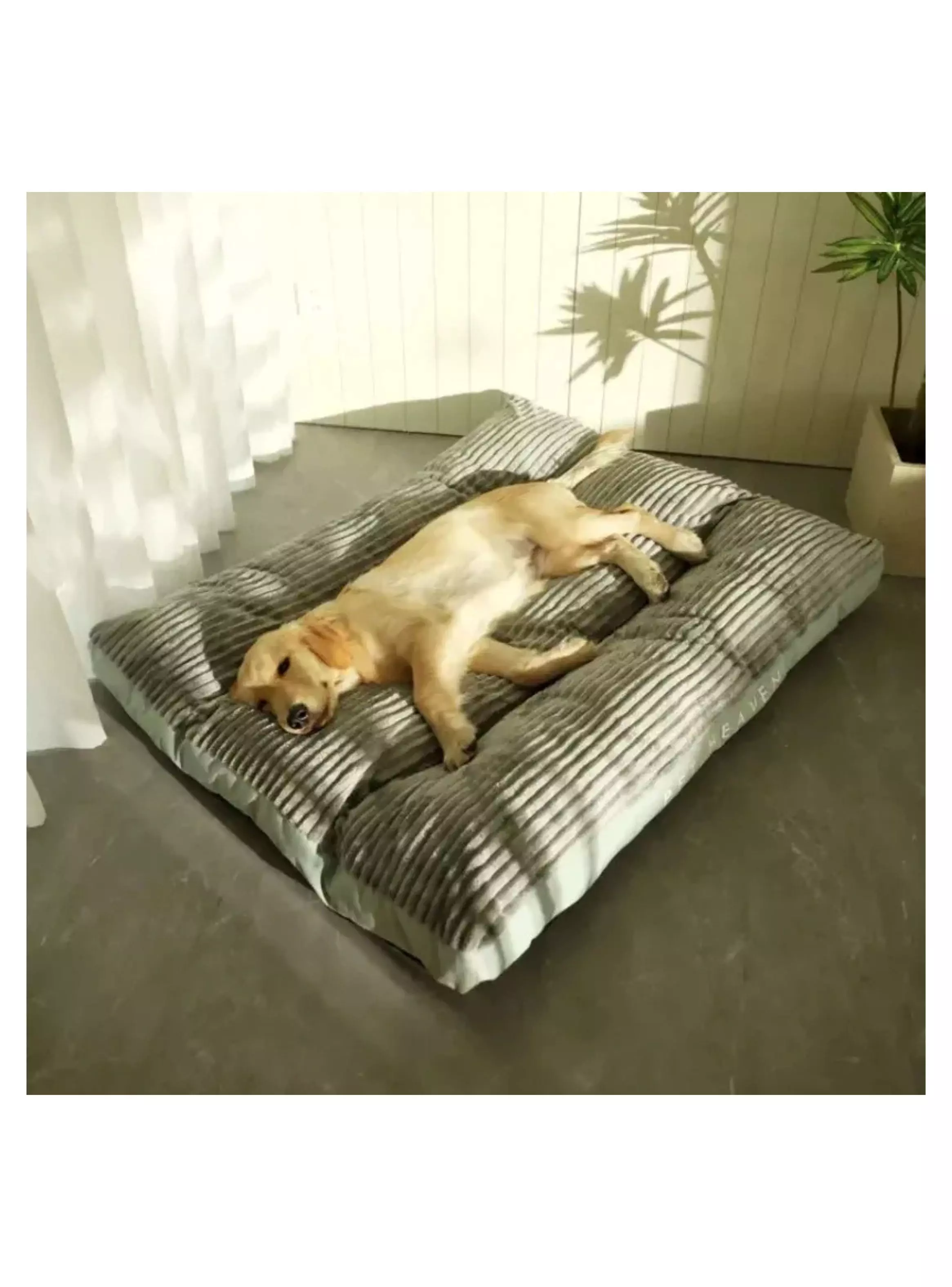 Cama Ortopédica Premium Para Mascotas 90x115cm -2