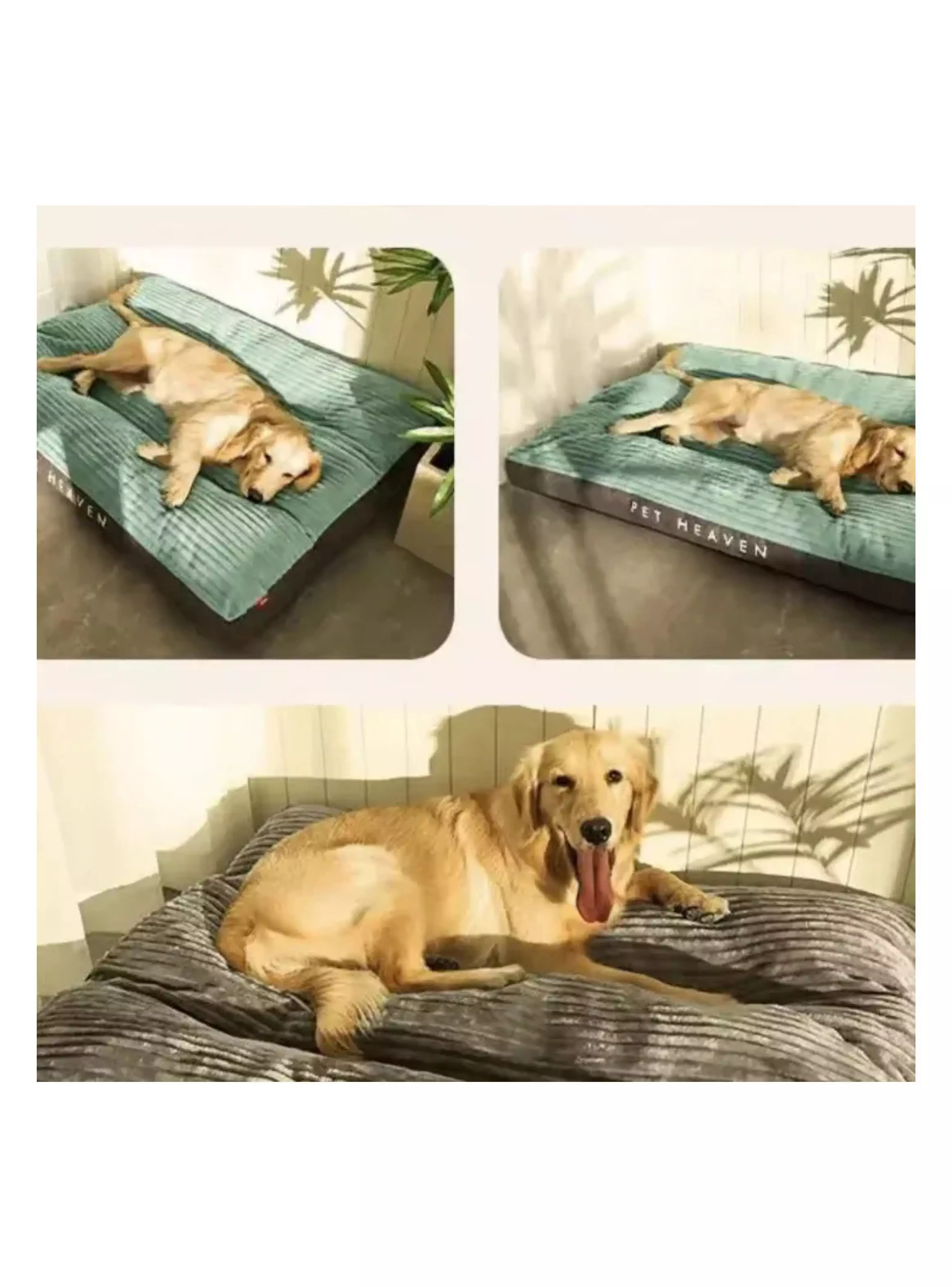 Cama Ortopédica Premium Para Mascotas 90x115cm -3