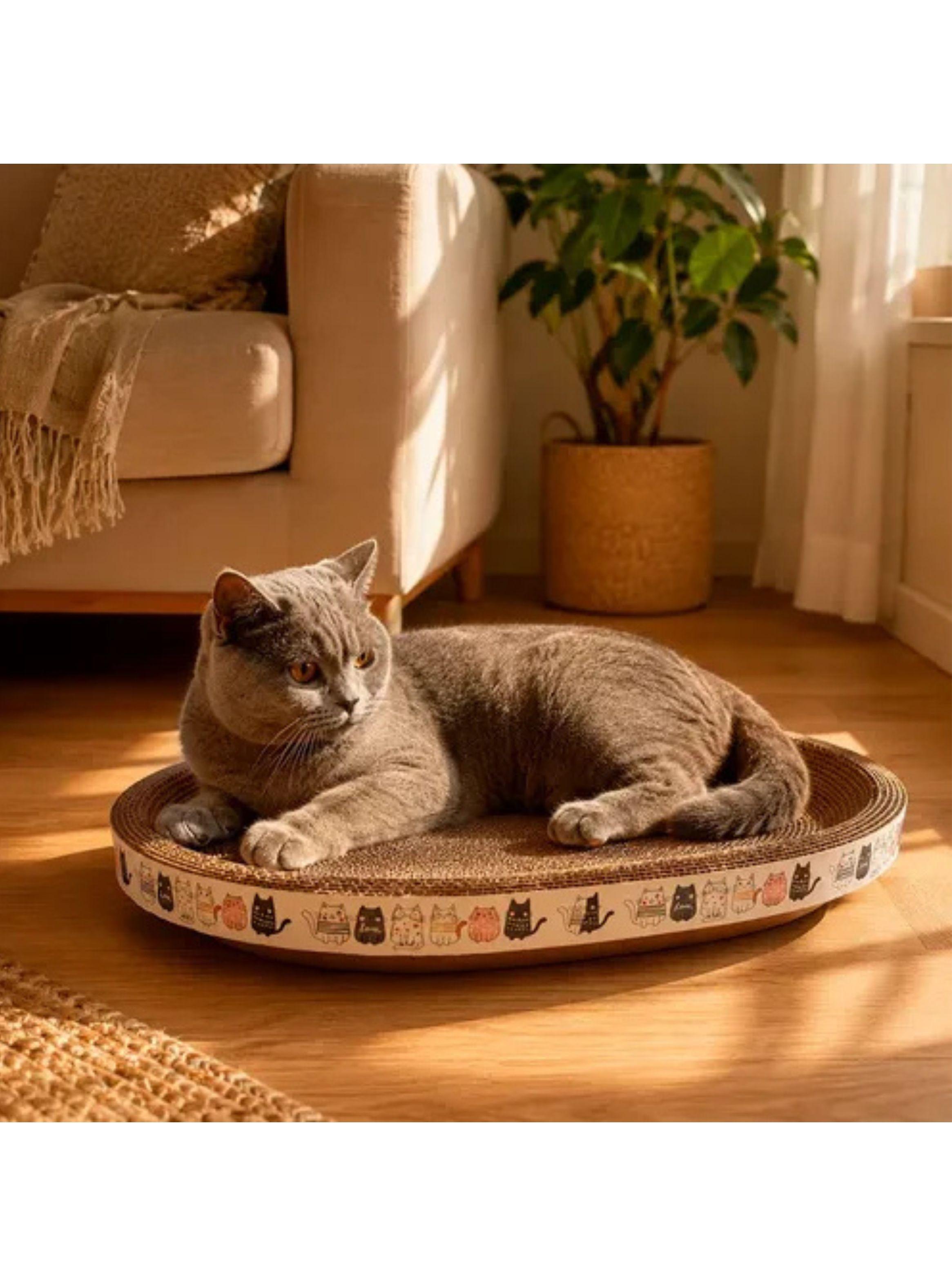 Rascador Para Gatos Ovalado De Carton Tipo Cama-3