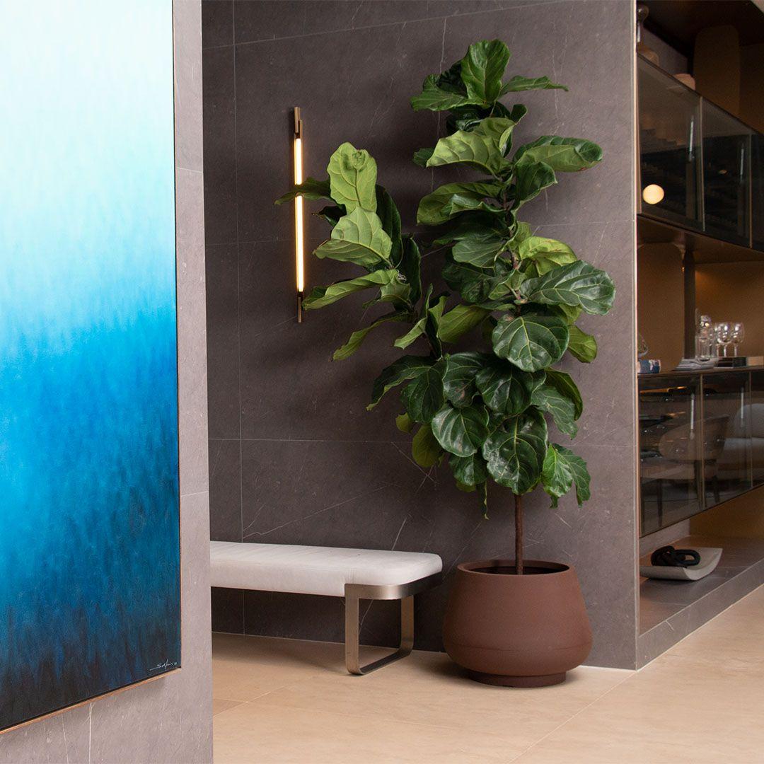 MACETRO CUMBUCA BOJUDA GG CAFE C/PLATO-3