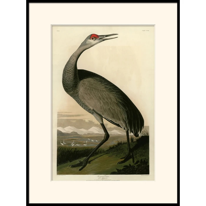 CUADRO BIRD D-0