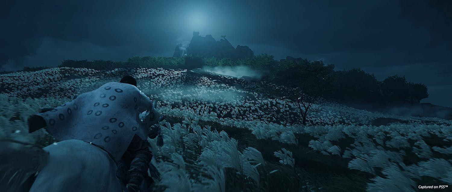 Ghost of Tsushima Director's Cut PS4-3