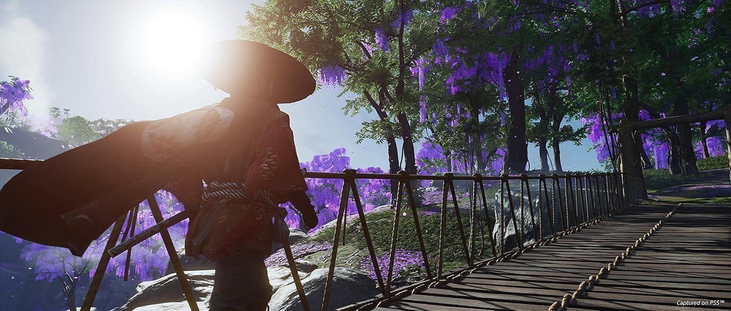 Ghost of Tsushima Director's Cut PS4-4