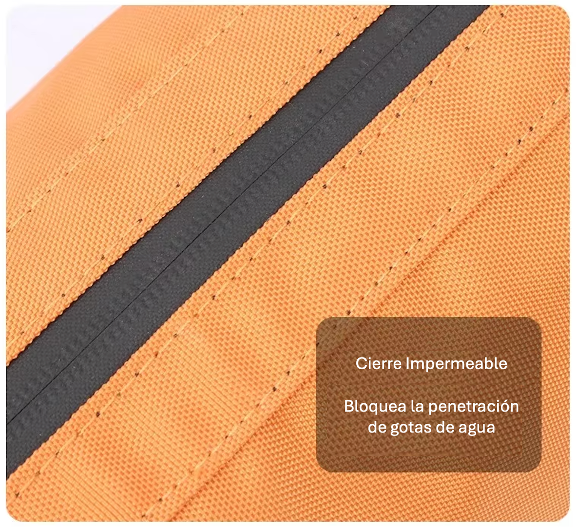 Neceser Viaje Impermeable Gran Capacidad Separación Seco Húmedo con Cierre-7