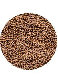 Alimento Peces Koi Y Carassius Sera Koi Royal Mini 1000ml - 320 gr-1