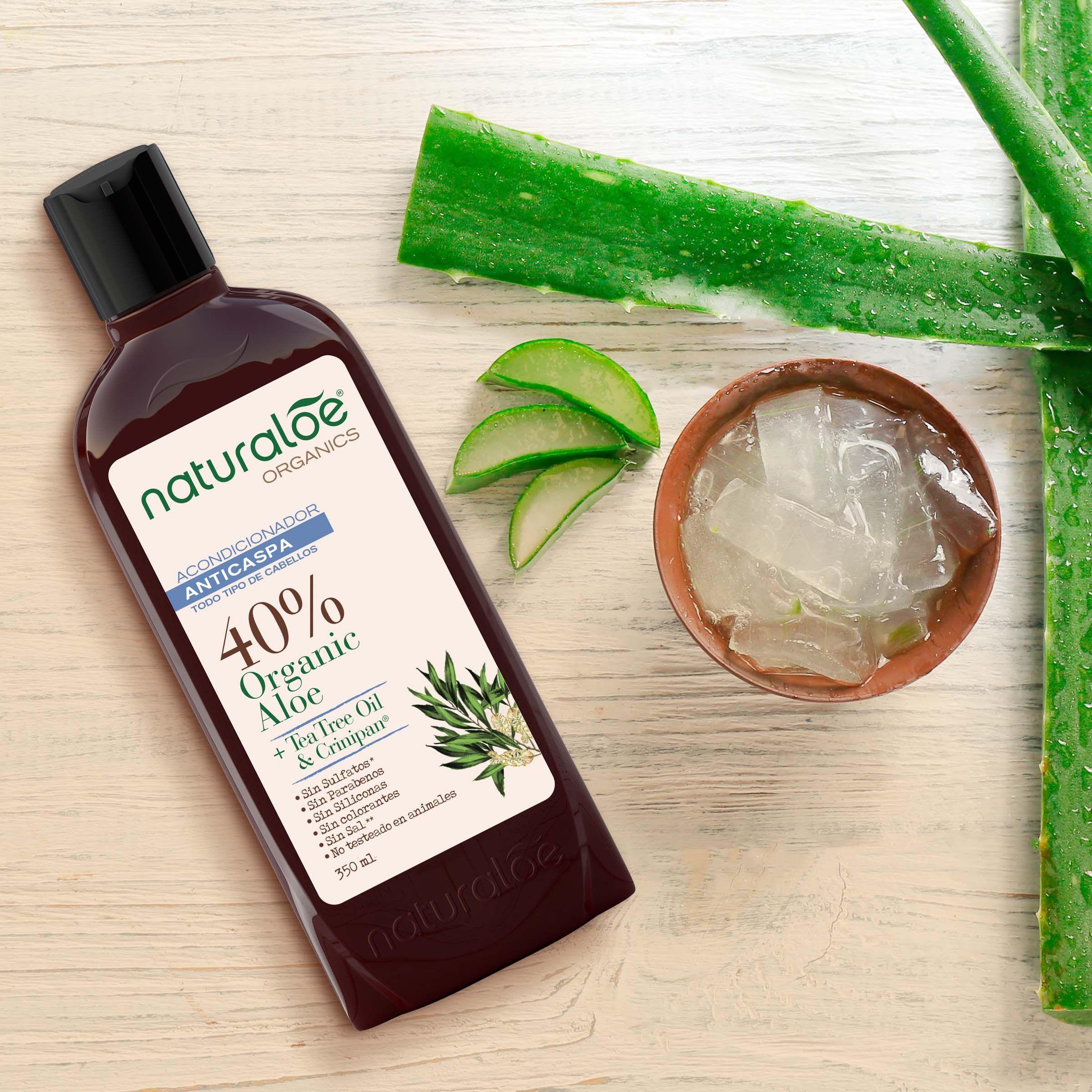 Acondicionador Anticaspa con Aceite de Tea Tree  Naturaloe 350 ml-1
