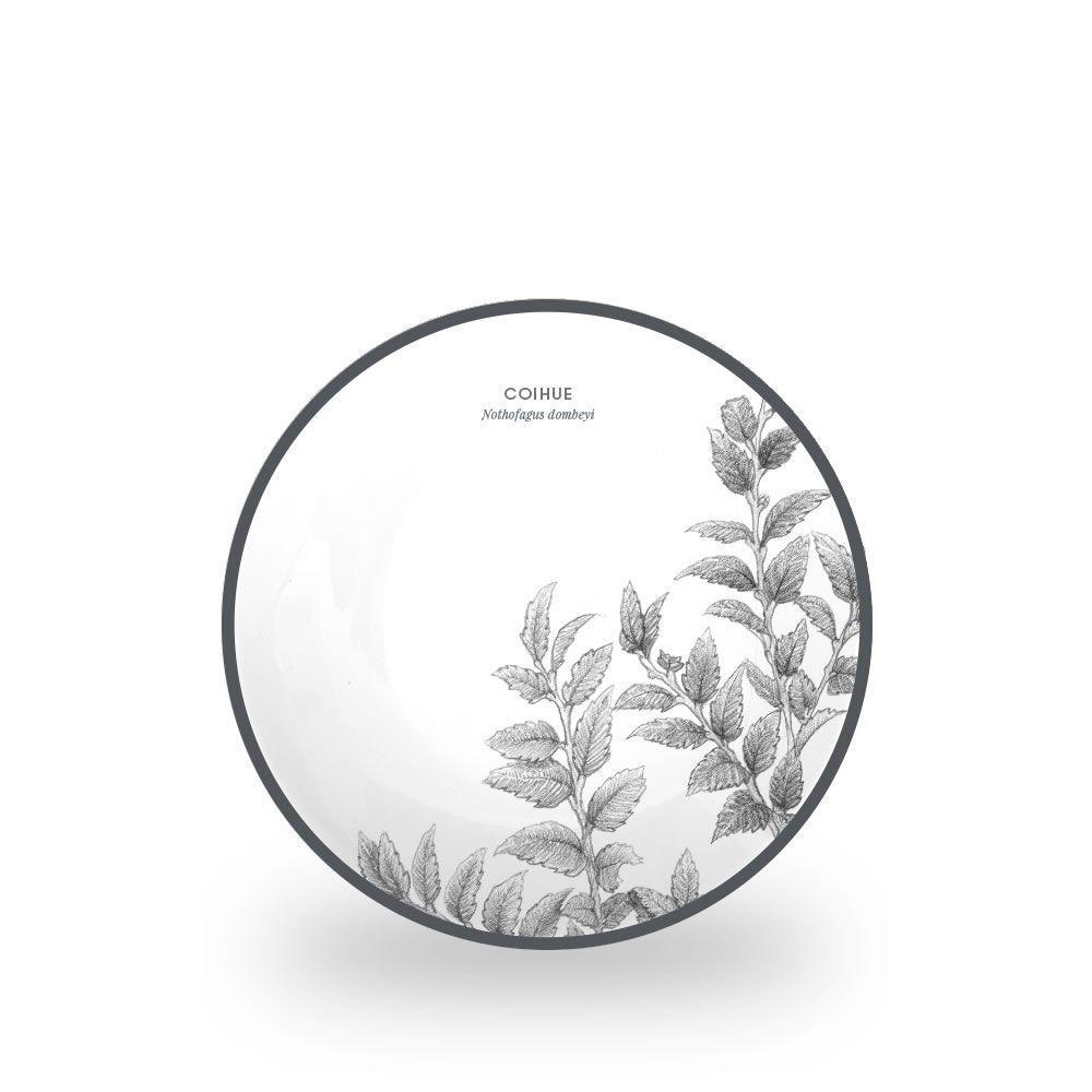 Vajilla De Porcelana 18 Piezas Coihue Klapp-0