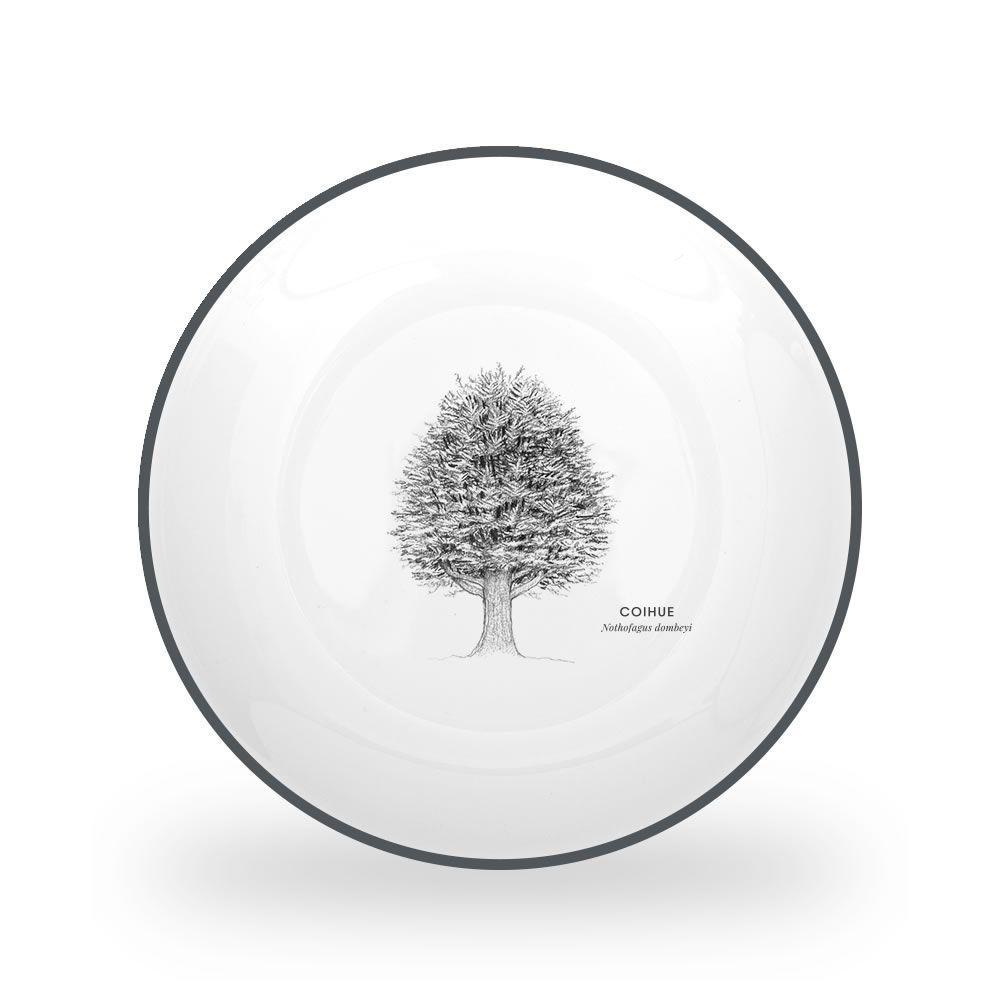 Vajilla De Porcelana 18 Piezas Coihue Klapp-2