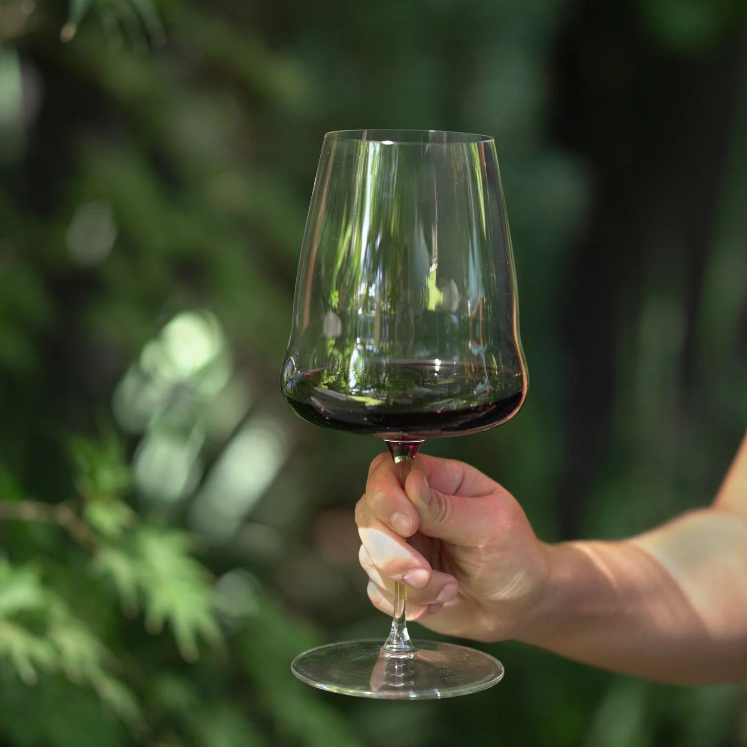 Set 2 Copas Winewings Cabernet Sauvignon Riedel-3