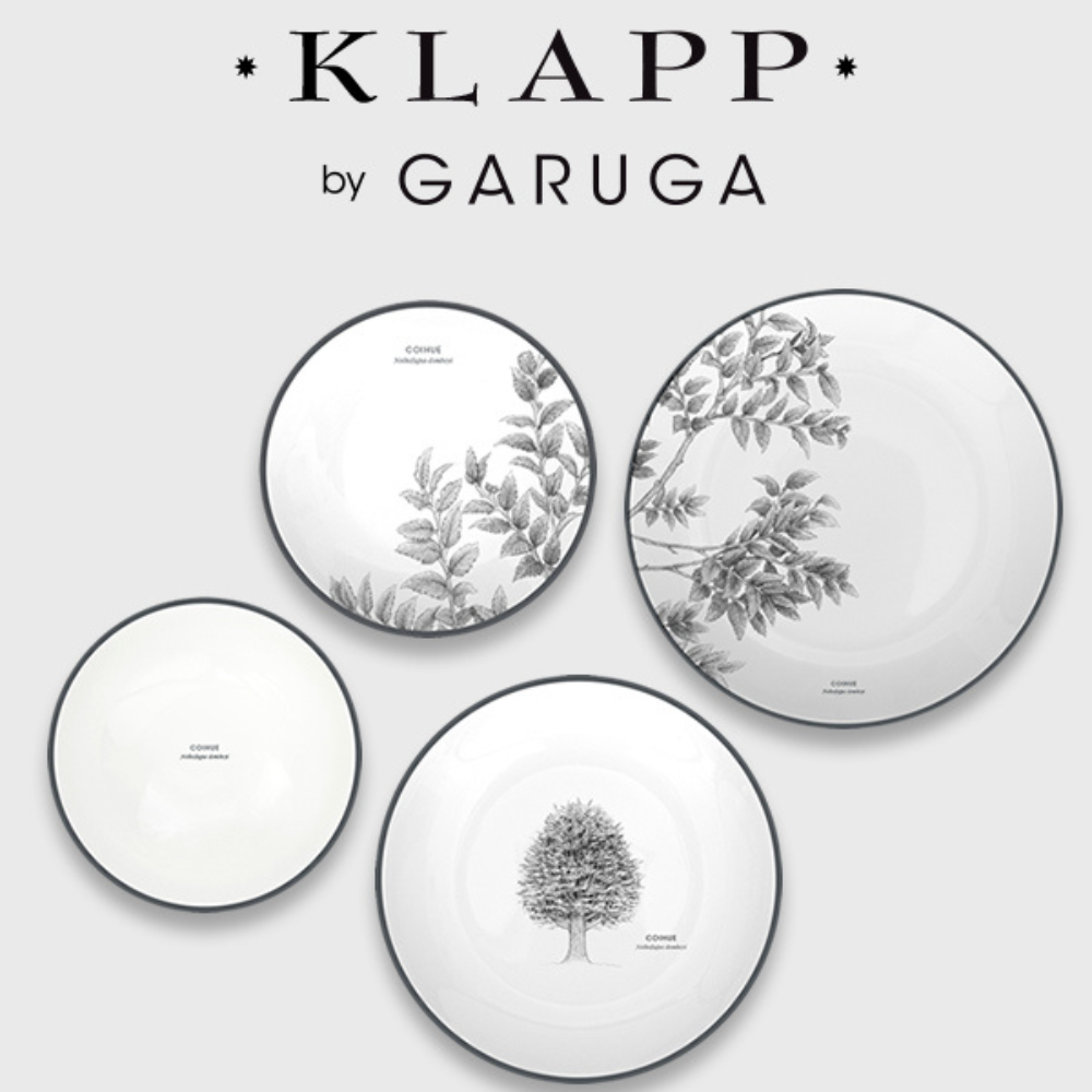 JUEGO VAJILLA 24 PIEZAS PORCELANA COIHUE KLAPP BY GARUGA-2