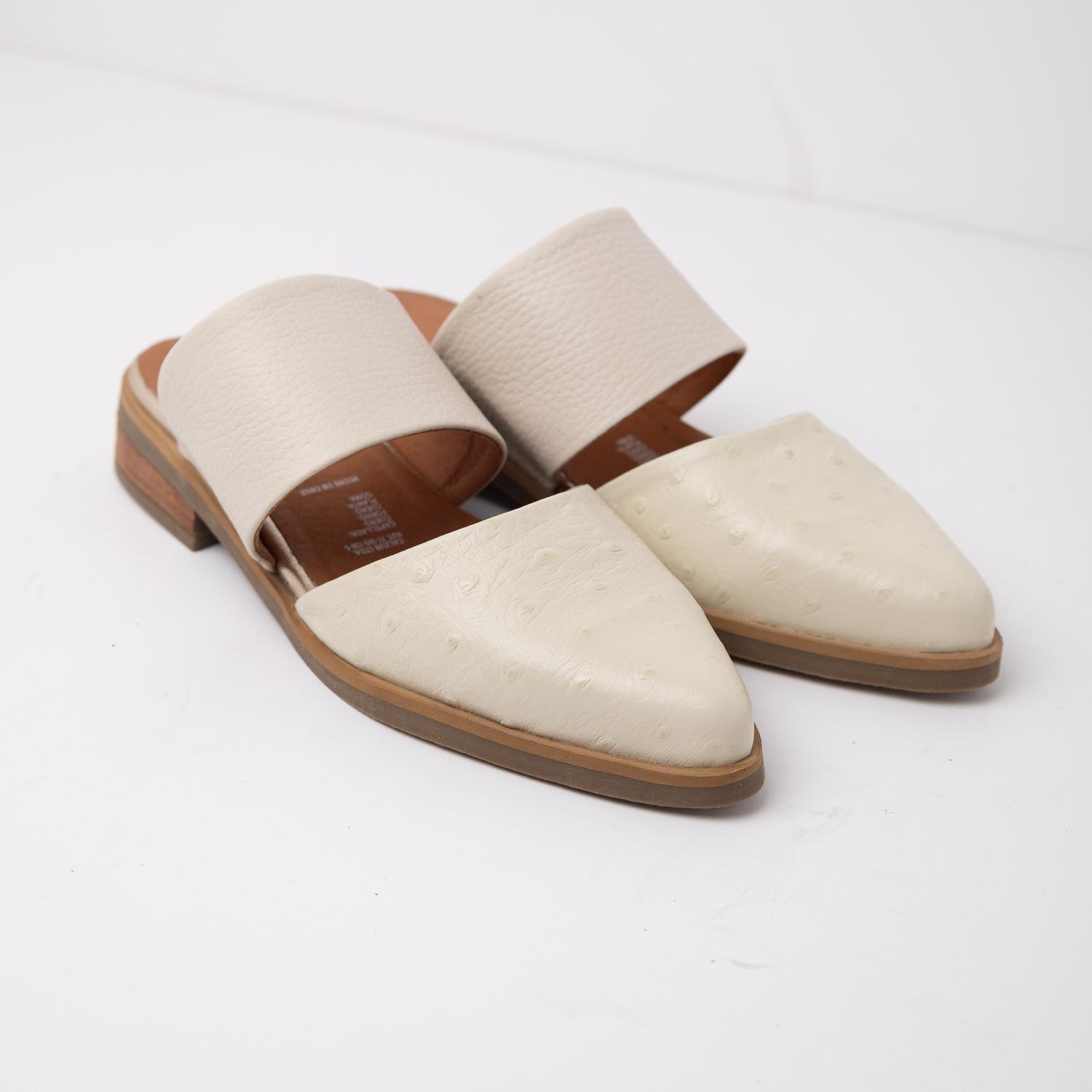 Babucha Mujer / Gaviota Beige-1