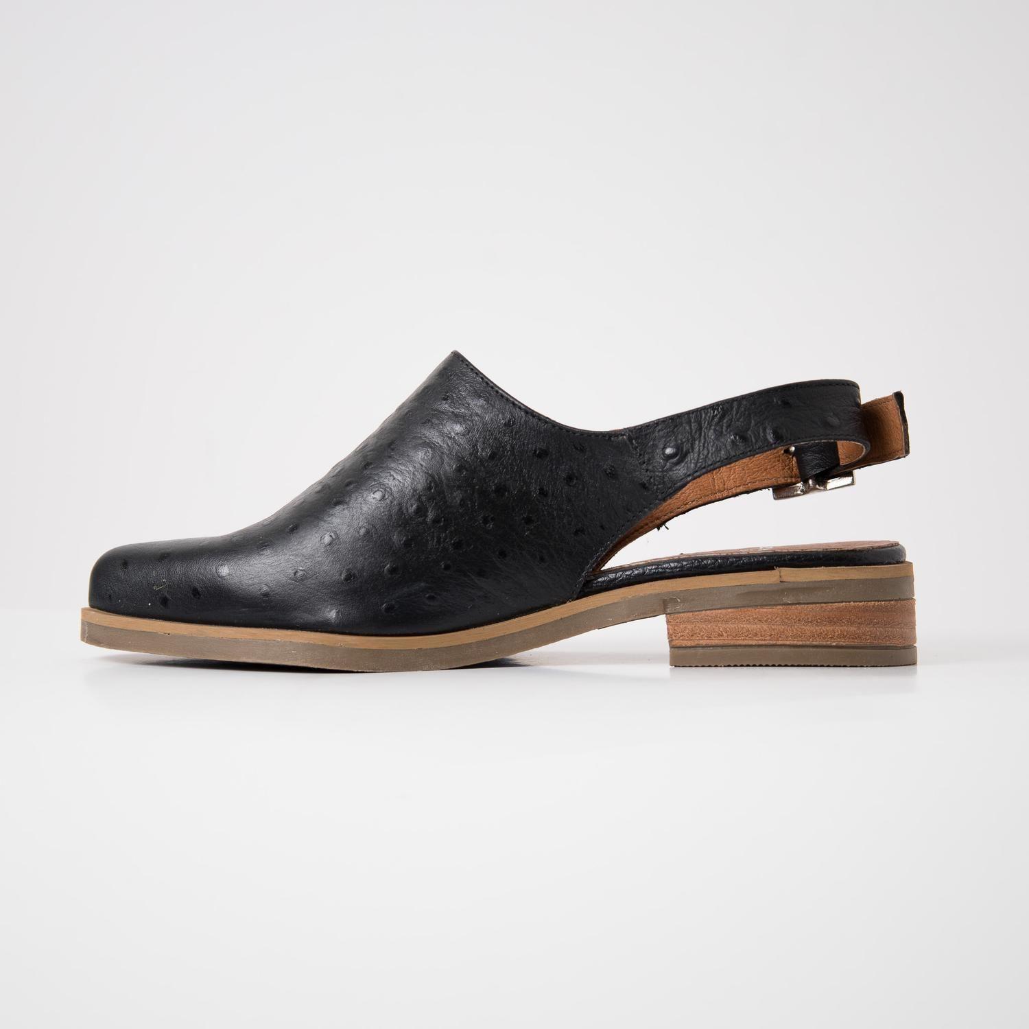 Zapato Mujer / Cardelina Negro-2
