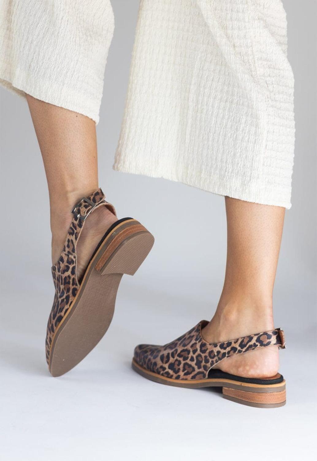 Babucha Mujer / Cardelina Print-5