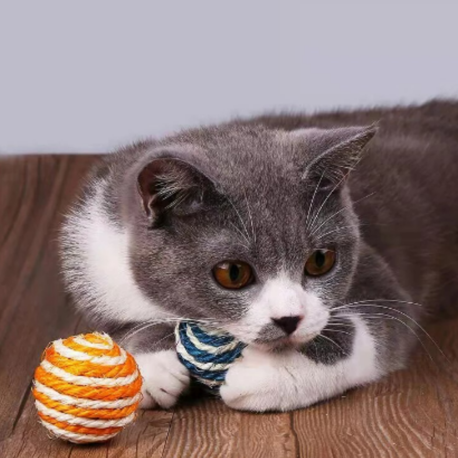 PELOTA PARA GATO ROSA BLANCO-2
