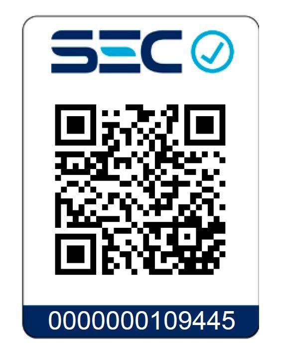 Kit Taladro 12V + Atornillador Impacto 12V + accesorios-8