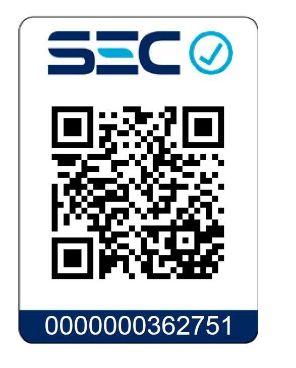 Kit Taladro Percutor 20V + 2 baterías + accesorios-10