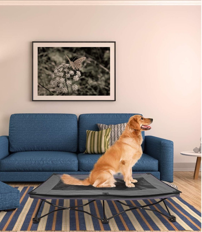 Cama Elevada Plegable Para Perro Talla L Soporta 90 Kg -3