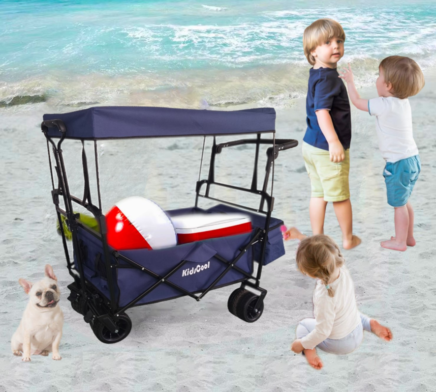 CARRITO WAGON PLEGABLE CON TECHO AZUL                       -6