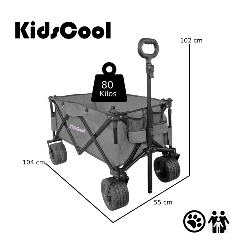 BEACH WAGON PLEGABLE GRIS                     -3
