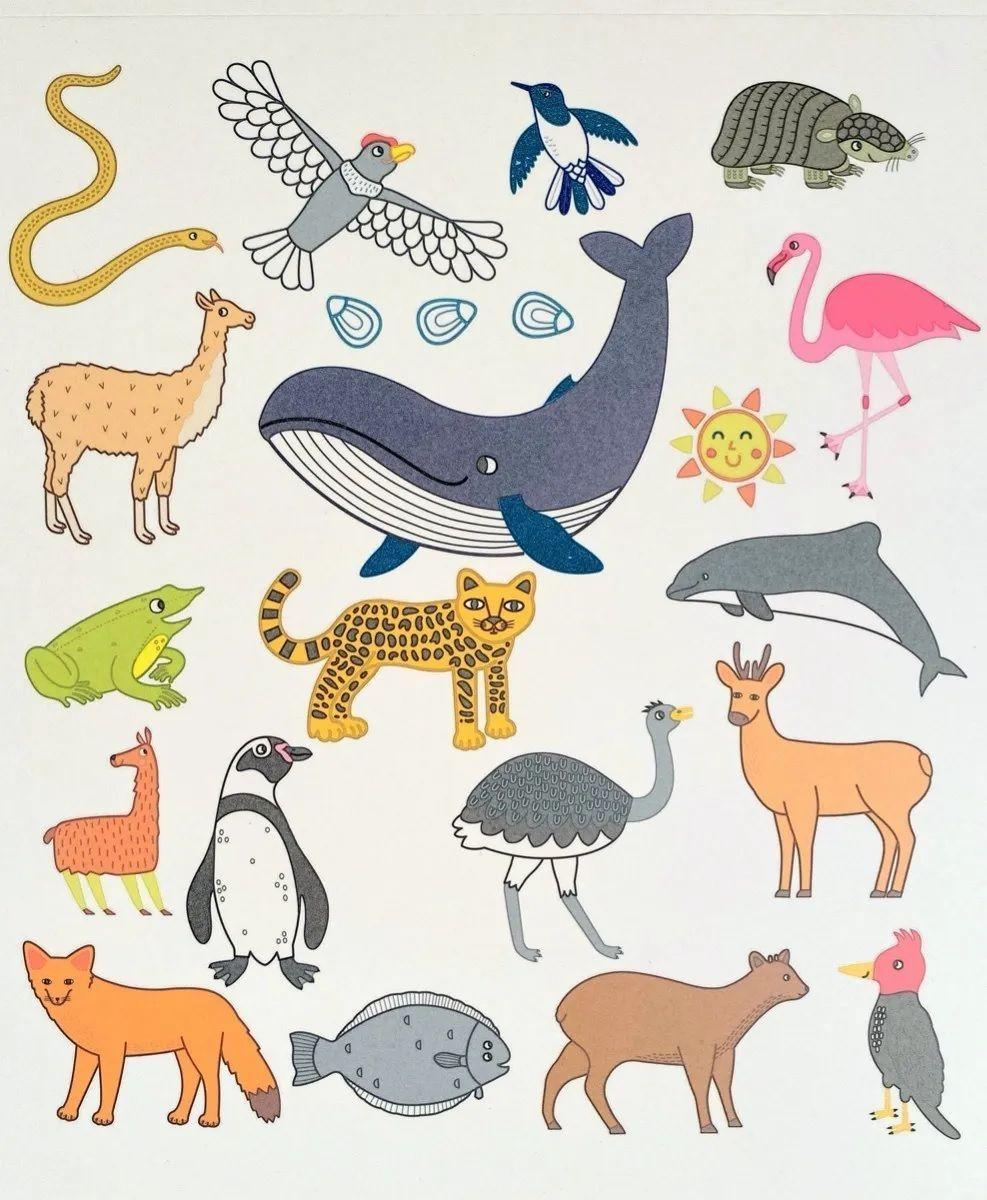 Divertiblock Animales Chilenos Para Colorear Y Pintar-4