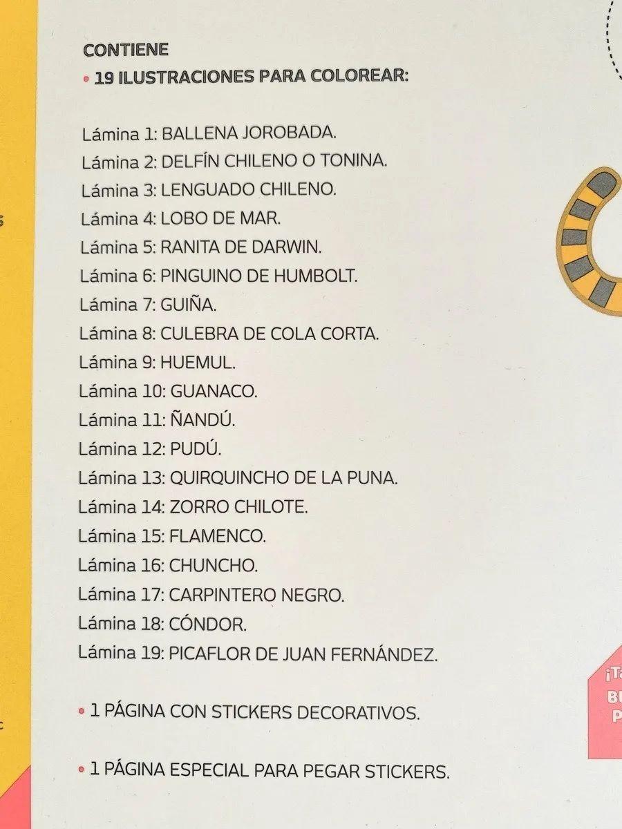 Divertiblock Animales Chilenos Para Colorear Y Pintar-5