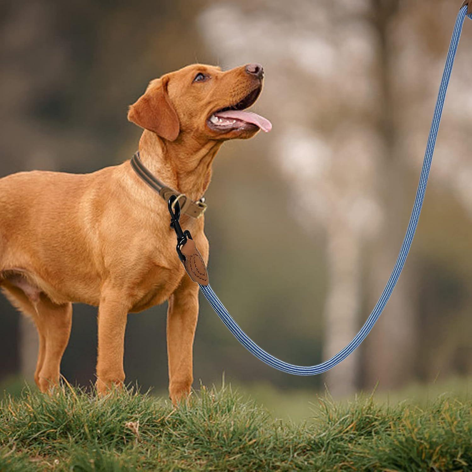 Correa Perro 120 Cm Celeste Pet s Fun Resistente-4