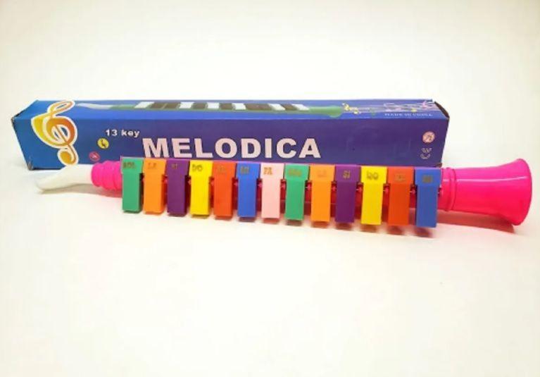 Melodica Colorida 13 Teclas Flauta Para Niño Piano Didactico-2