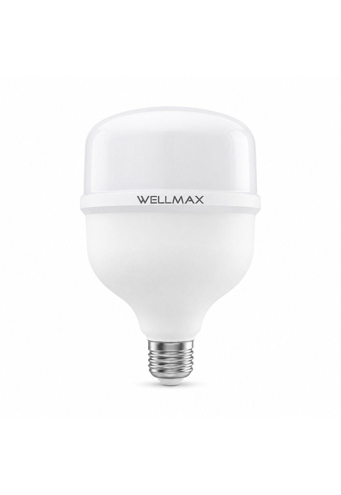 Ampolleta LED Wellmax 38W High Power Professional Line T115-2