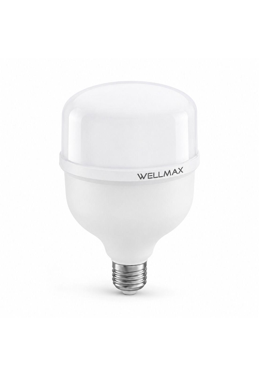 Ampolleta LED Wellmax 38W High Power Professional Line T115-3