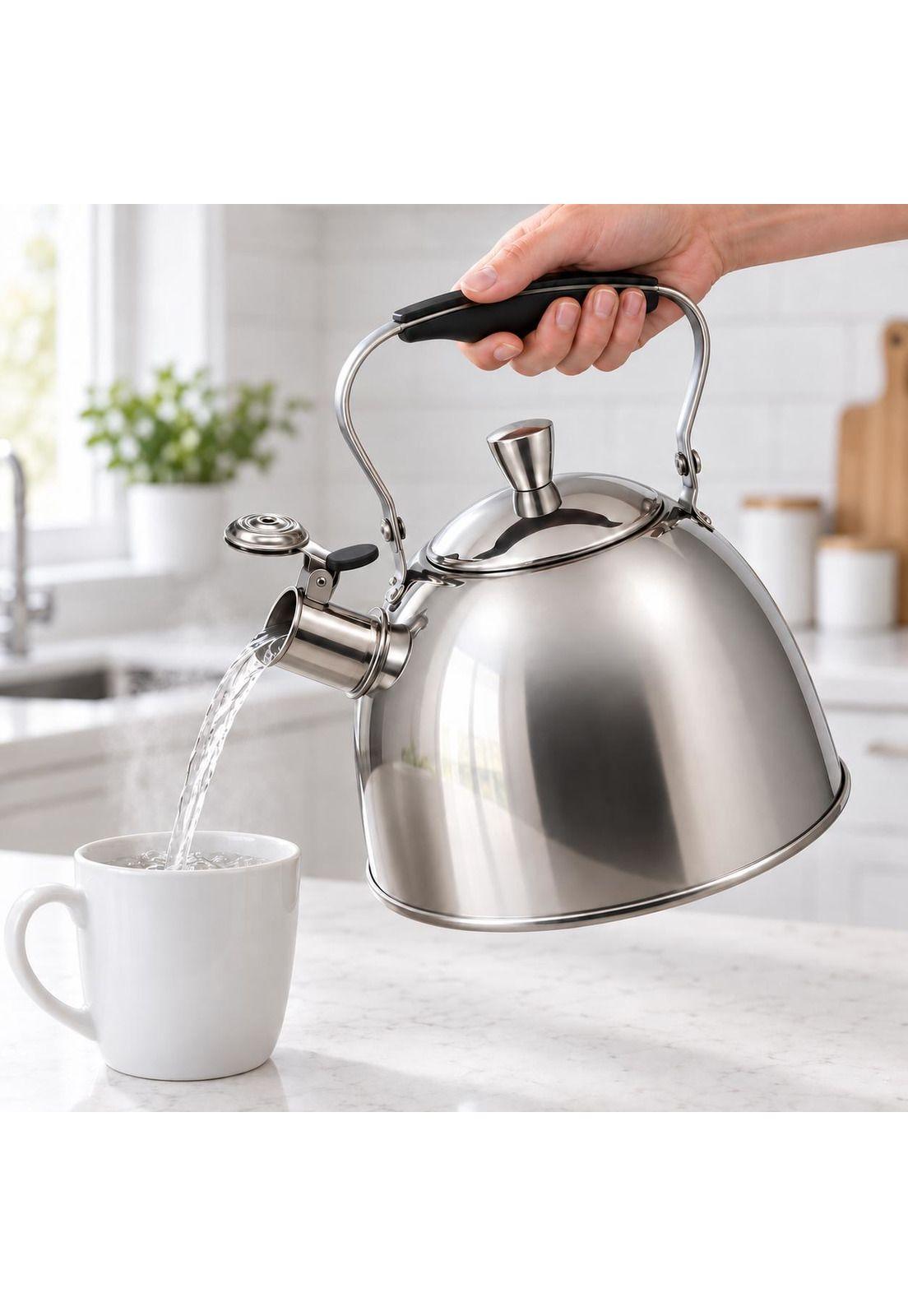 Tetera Oslo 100% de Acero Inoxidable 3 LT (For All kitchens)-1