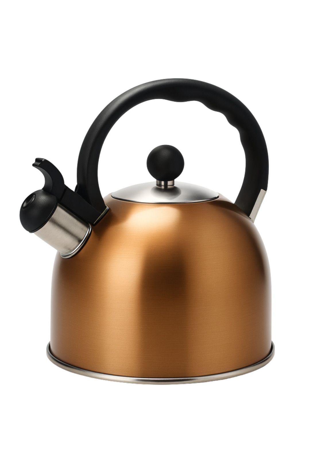 Tetera de Acero Inoxidable 2.5 LT Capri (for all Kitchens)-2
