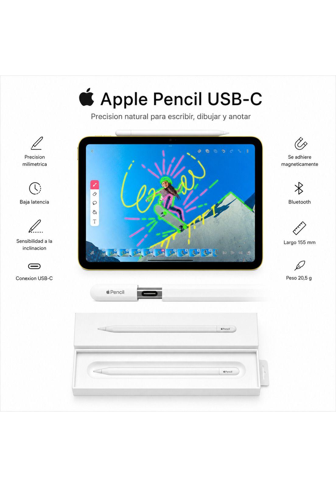 Lapiz Apple Pencil USB-C para Ipad-4