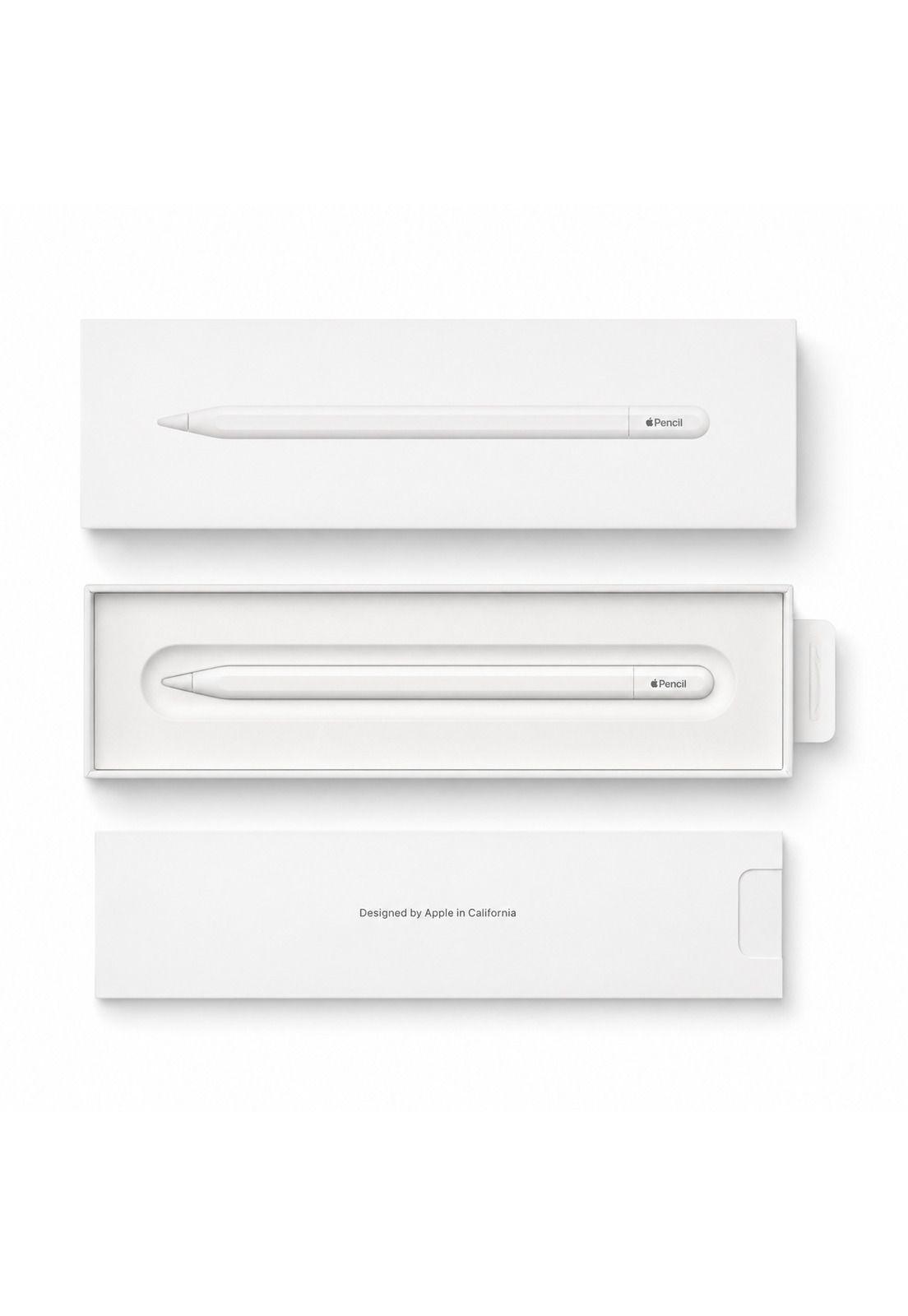 Lapiz Apple Pencil USB-C para Ipad-5
