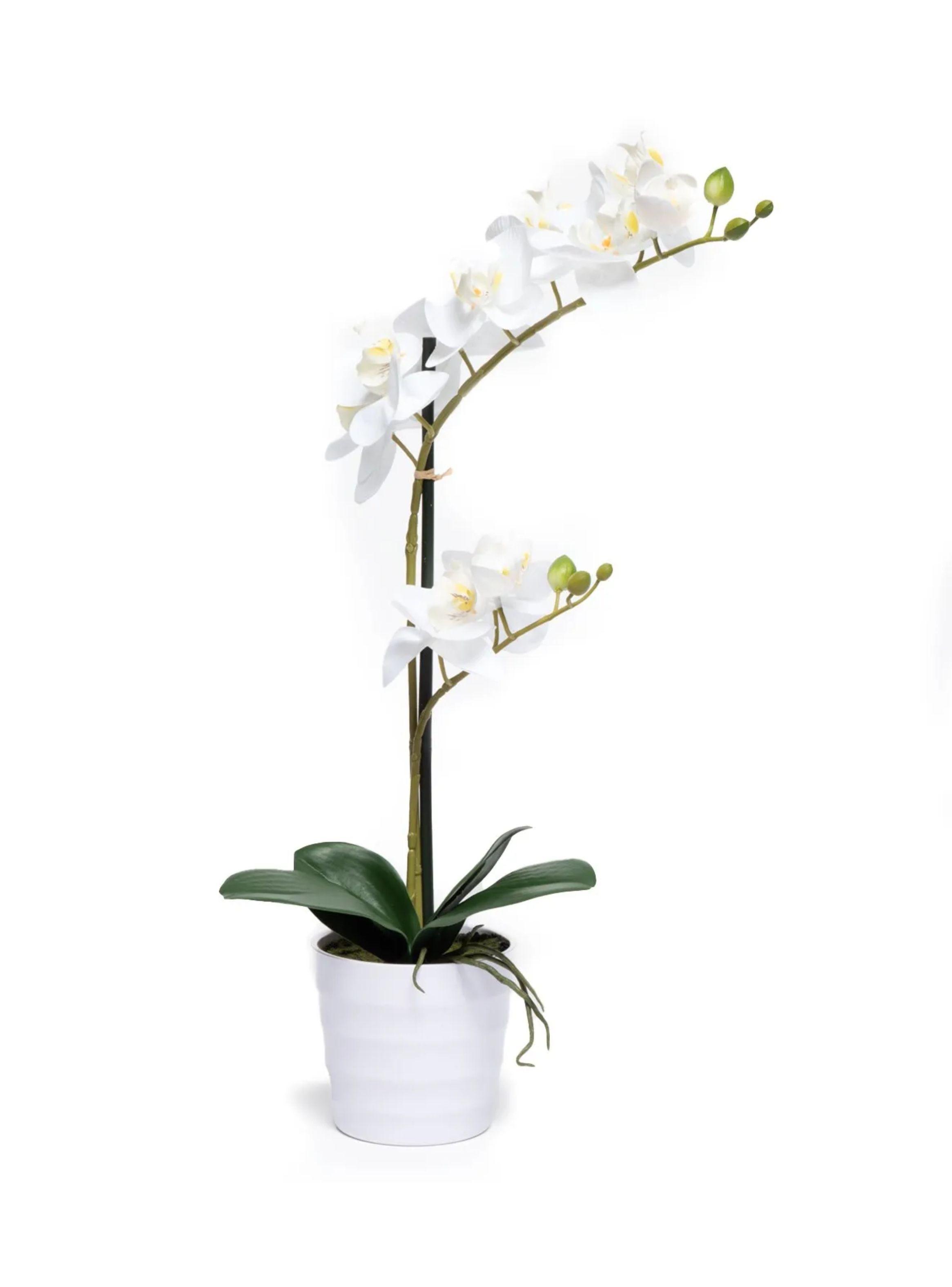 Planta Artificial Maceta Orquidea 51 Cm-0