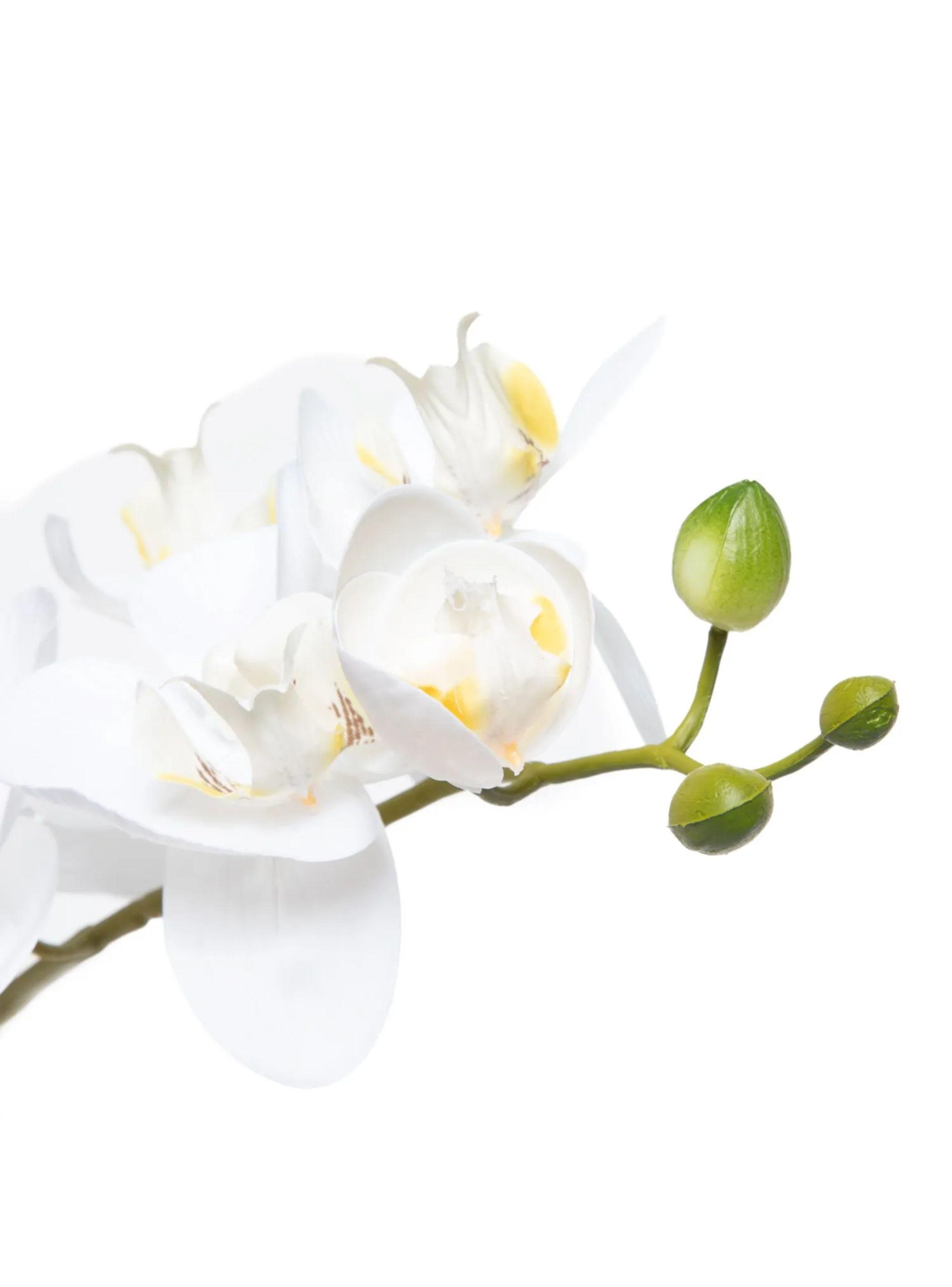 Planta Artificial Maceta Orquidea 51 Cm-1