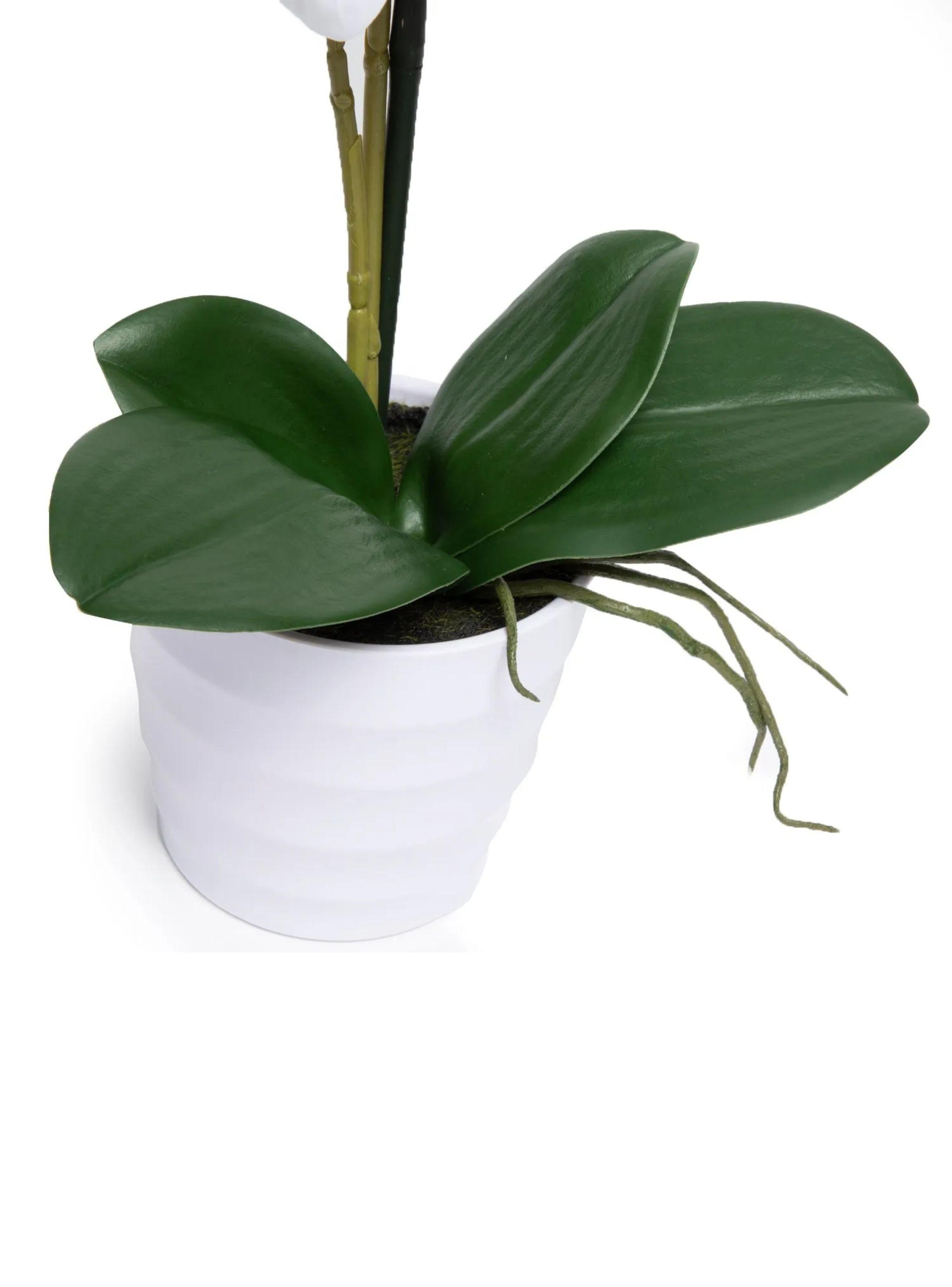 Planta Artificial Maceta Orquidea 51 Cm-2