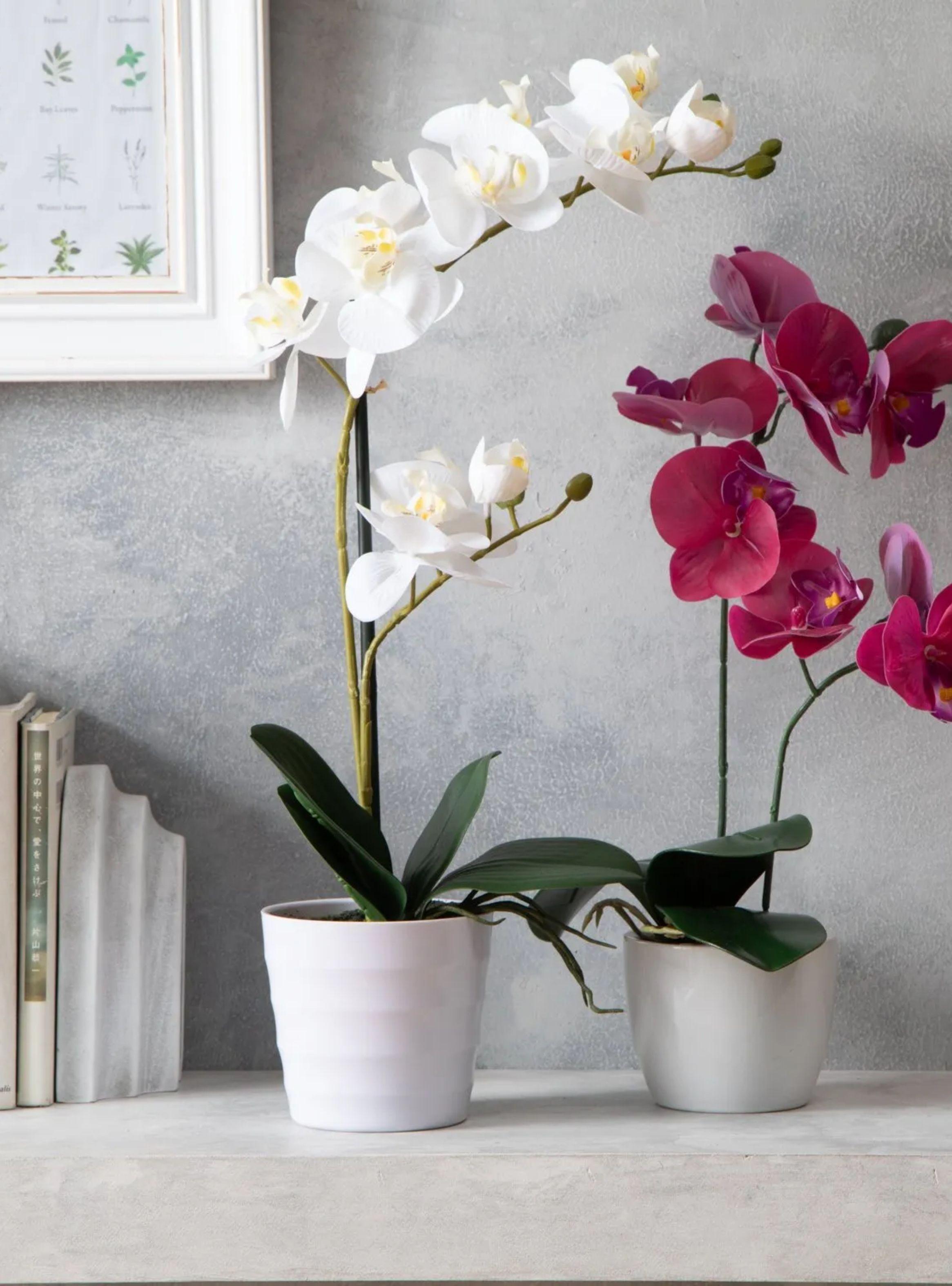 Planta Artificial Maceta Orquidea 51 Cm-4