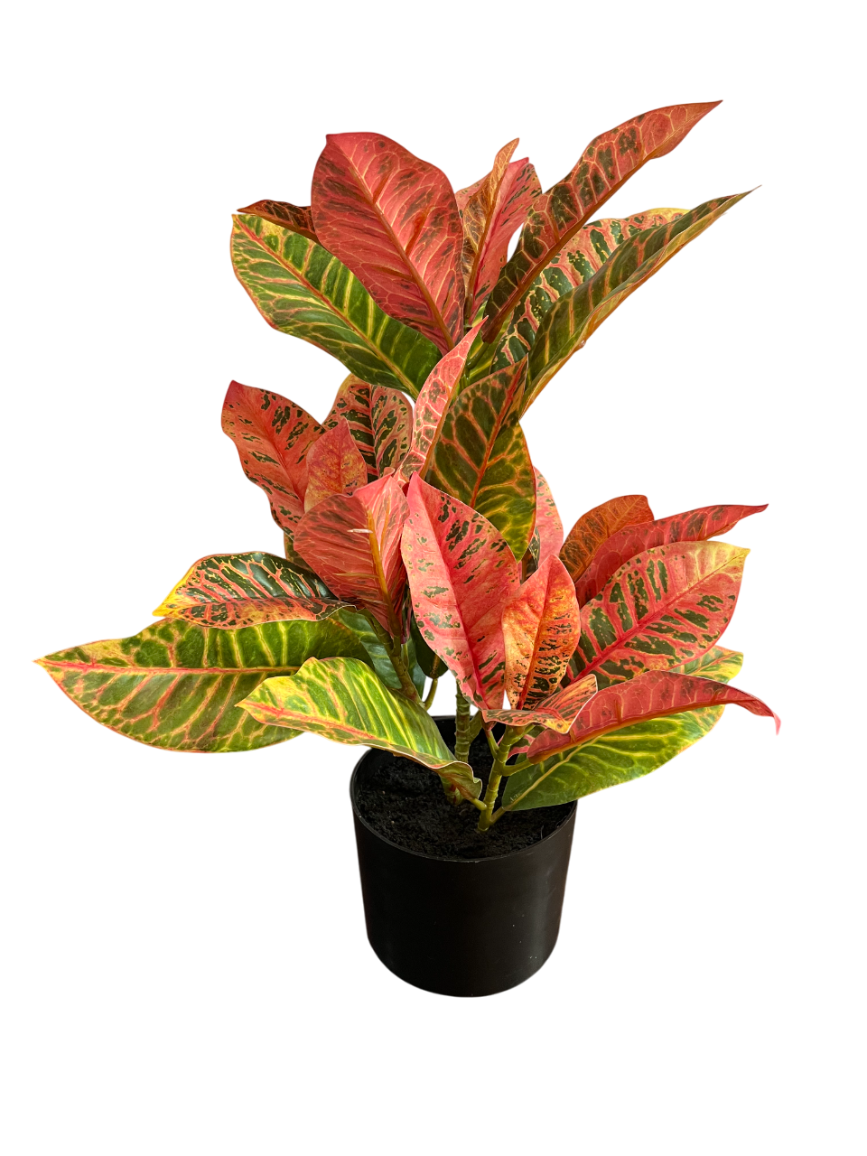Adorno Planta Artificial Maceta Croton 55 CM-2