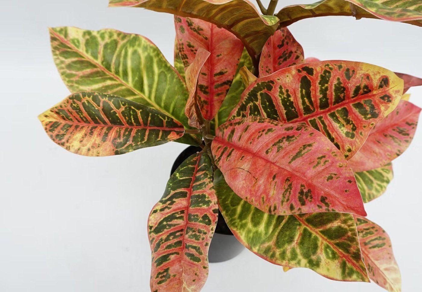 Adorno Planta Artificial Maceta Croton 55 CM-3