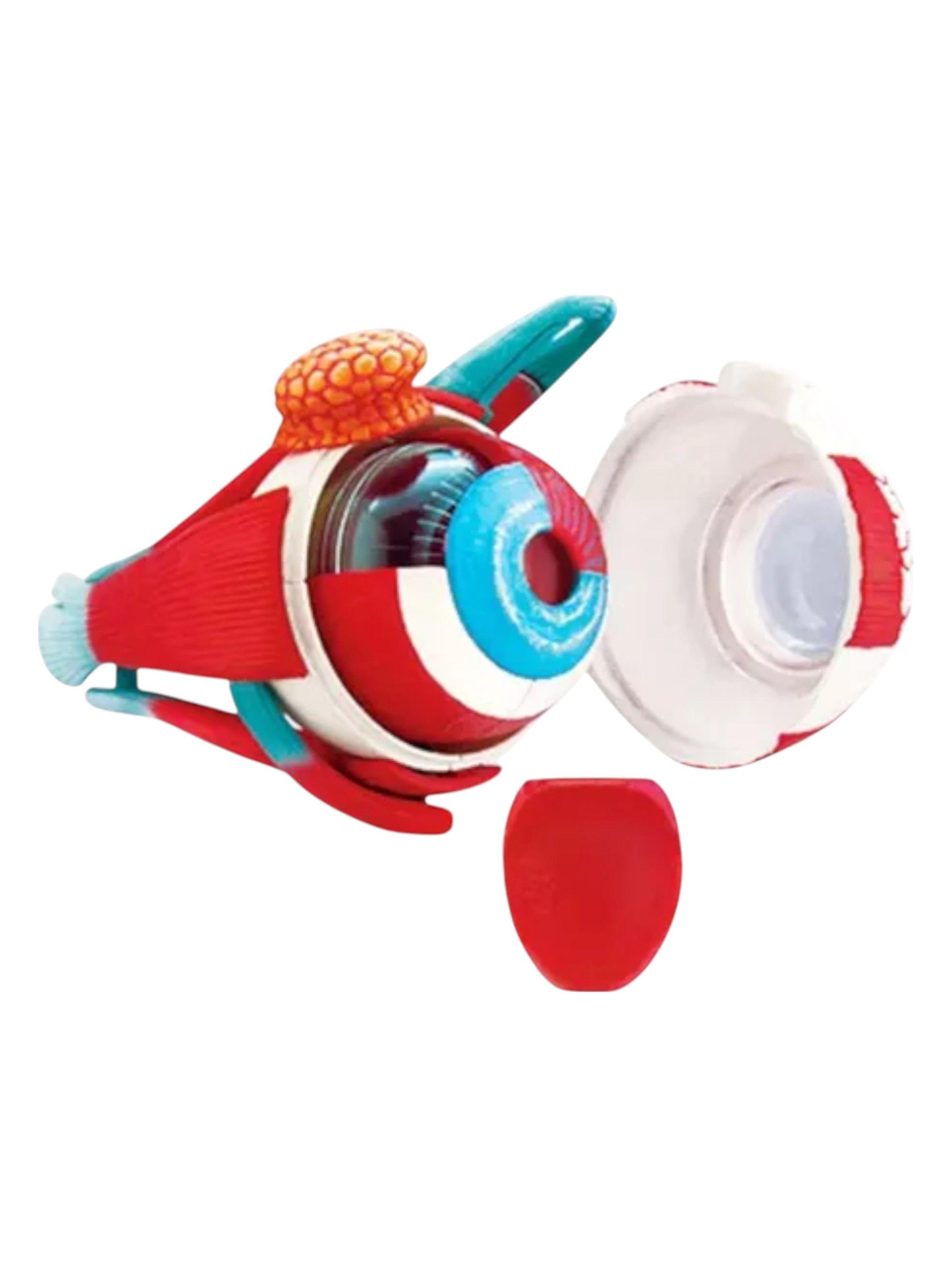 Ojo 4d Didáctico globo ocular Rompecabezas Puzzle Nc17-4