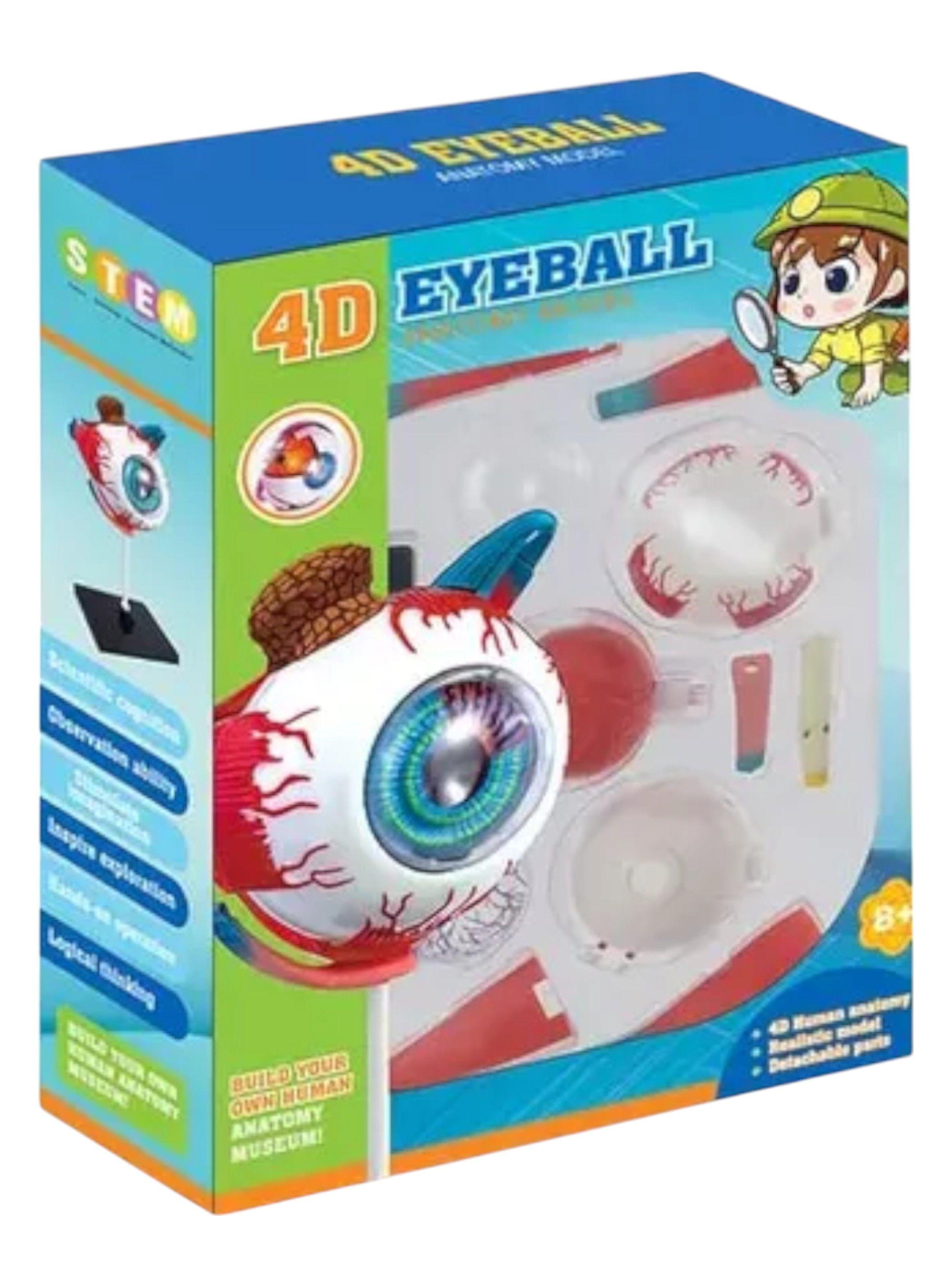 Ojo 4d Didáctico globo ocular Rompecabezas Puzzle Nc17-7