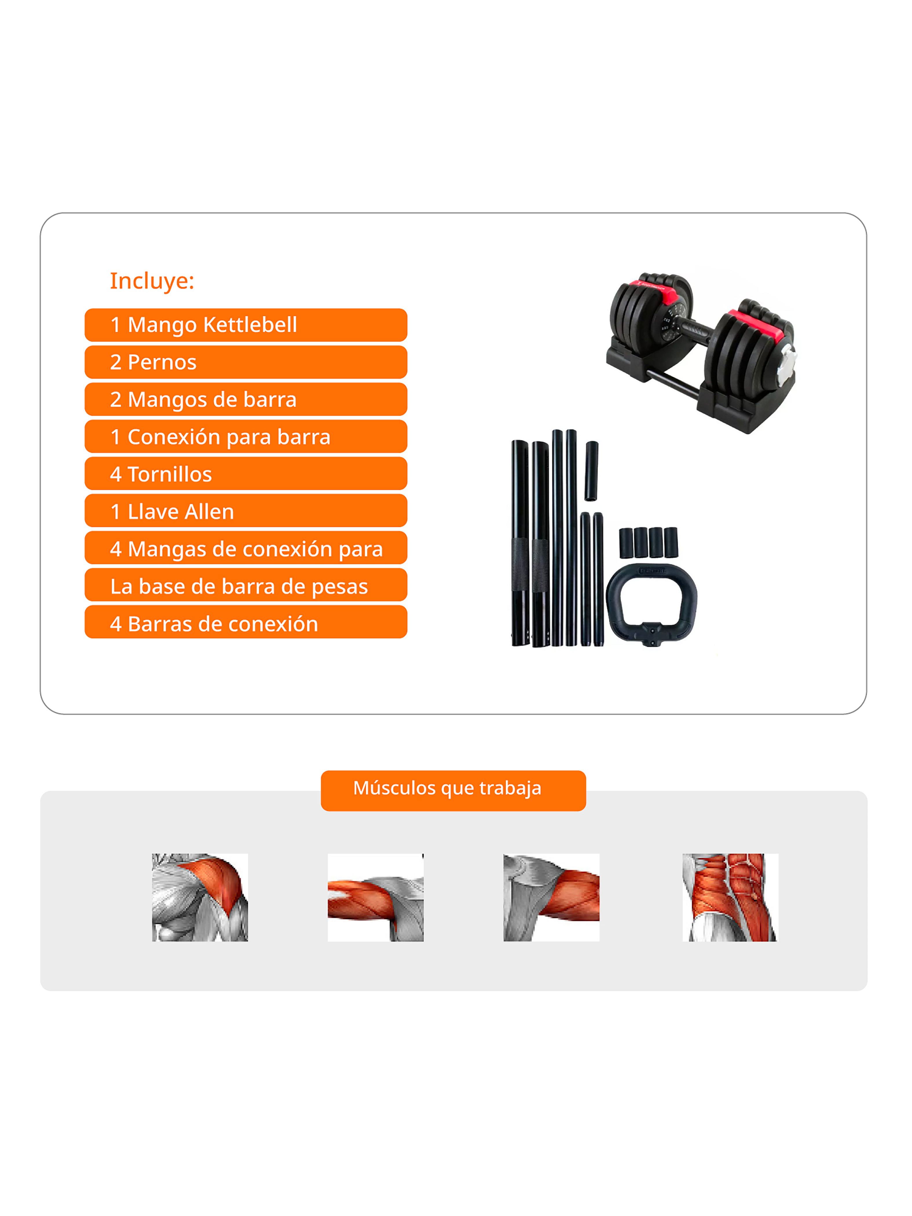 Set 3 en 1 Bodytrainer Barra Mancuerna Kettlebell Ajustable-3