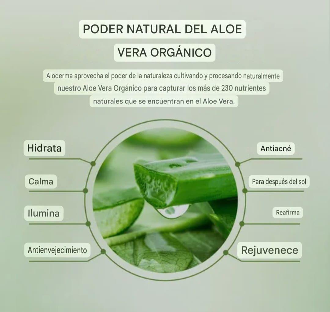 Set Skincare Aloe Vera Antiacne Hidratante-2