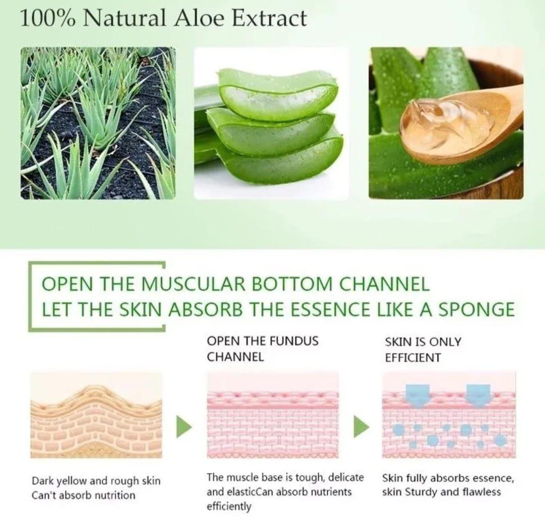 Sérum Facial de Aloe Vera Antiedad, Hidratante y Calmante-2
