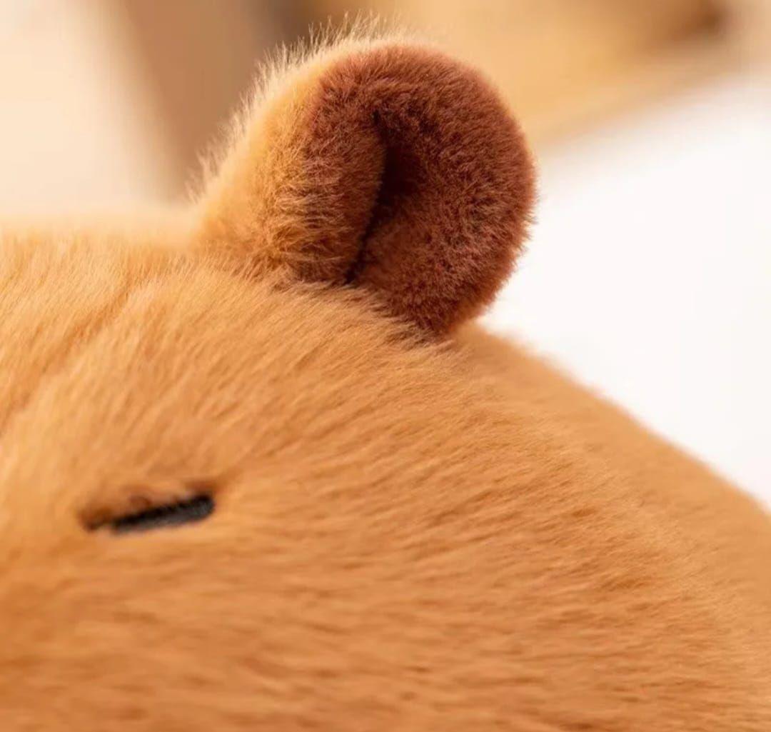 Peluche Capibara Hamburguesa 22 cm-4