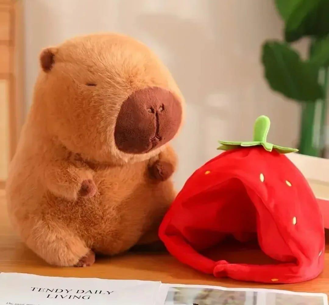 Peluche Capibara Con Gorro Frutilla 35 cm-3